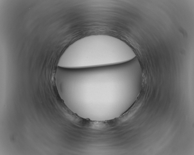X0000112910141200908241017