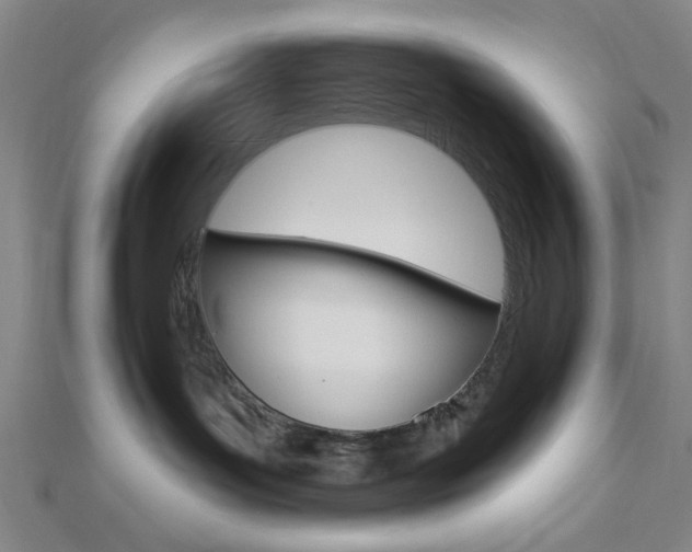 X0000112910143200908241017