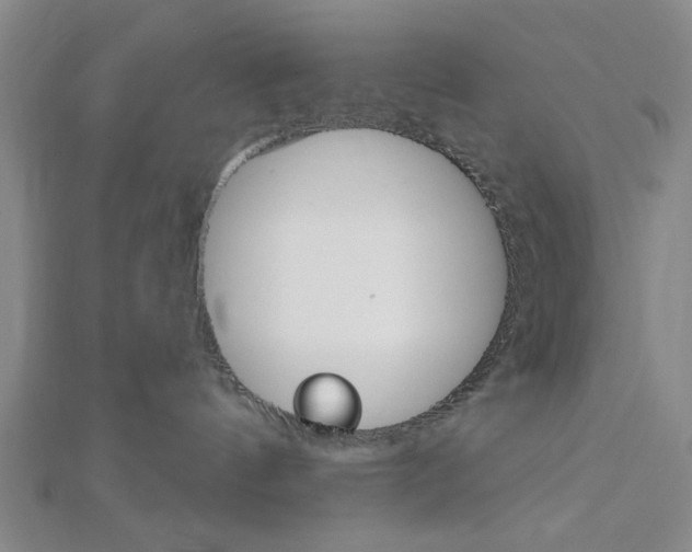 X0000112910144200908241017