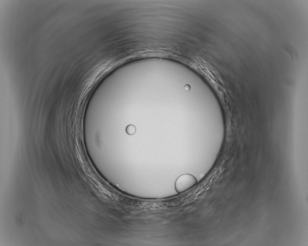 X0000112910145200908241016