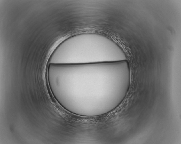 X0000112910147200908241016