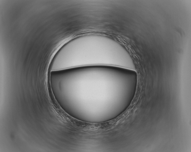 X0000112910148200908241016