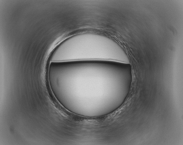 X0000112910150200908241016