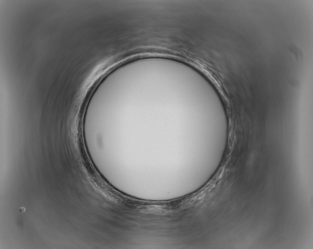 X0000112910151200908241016