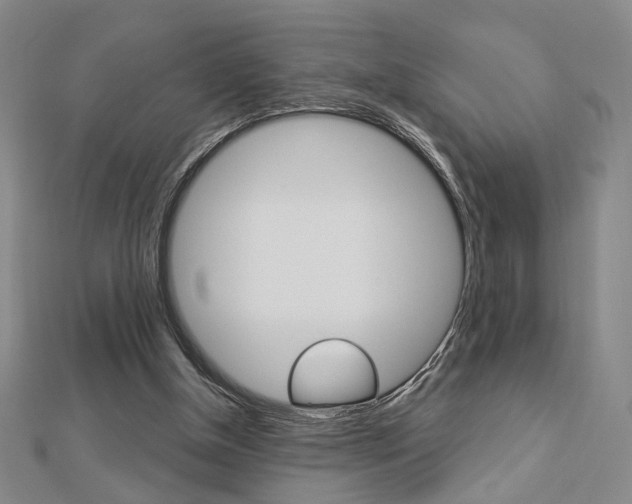 X0000112910154200908241016