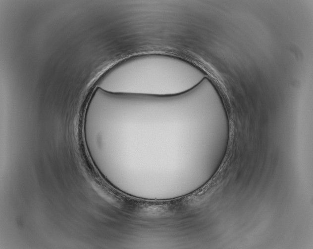 X0000112910155200908241016