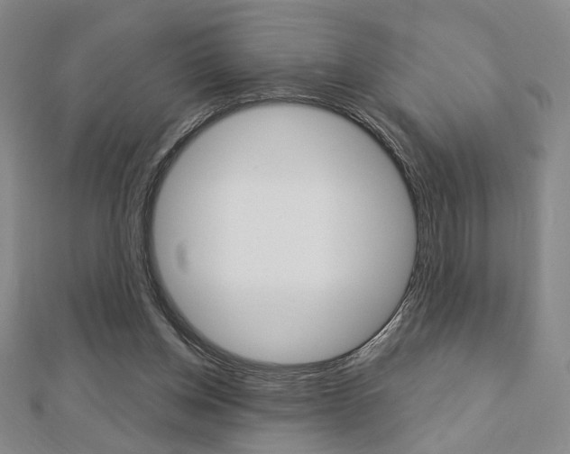 X0000112910158200908241016
