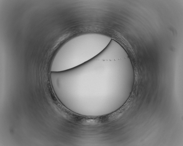 X0000112910163200908241016