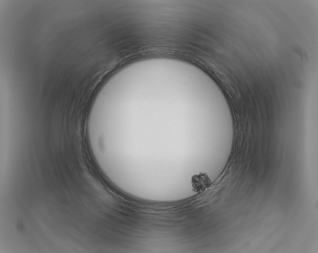 X0000112910168200908241017
