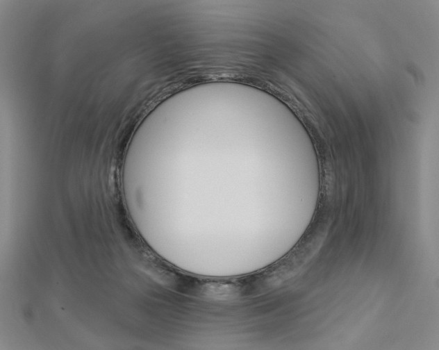 X0000112910169200908241017