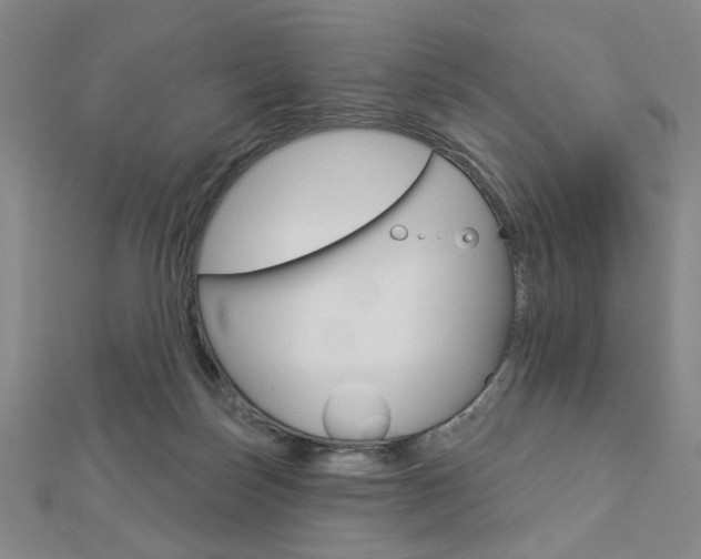X0000112910171200908241017