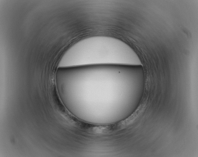 X0000112910172200908241017