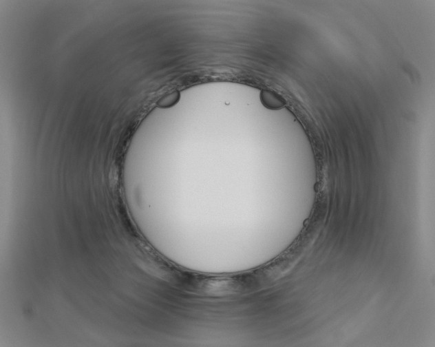 X0000112910173200908241017