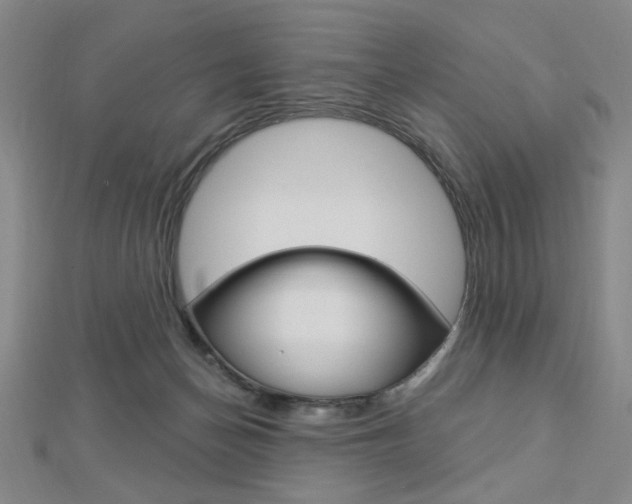 X0000112910174200908241017