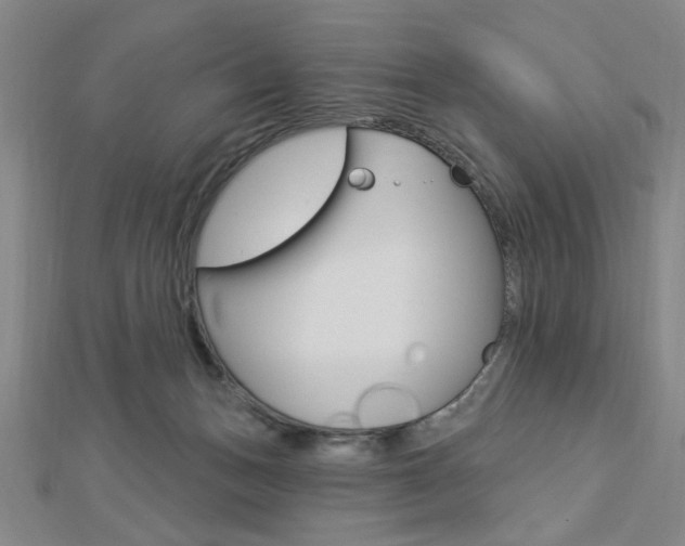 X0000112910175200908241017