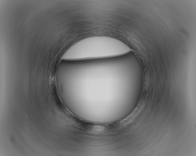 X0000112910176200908241017