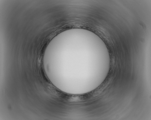 X0000112910177200908241017