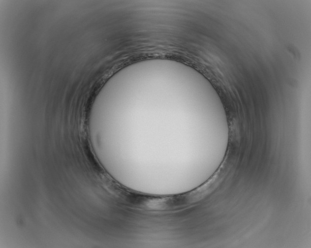 X0000112910178200908241017