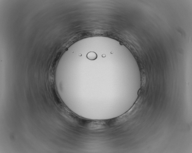 X0000112910179200908241017
