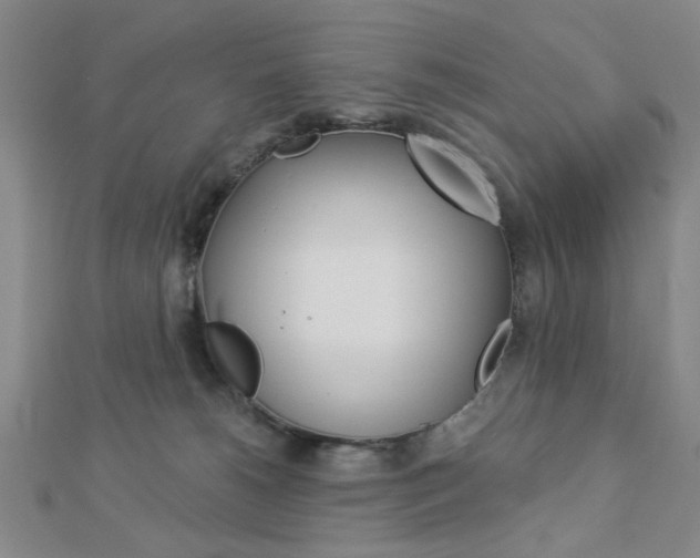 X0000112910180200908241017