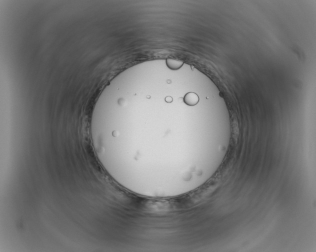 X0000112910181200908241017