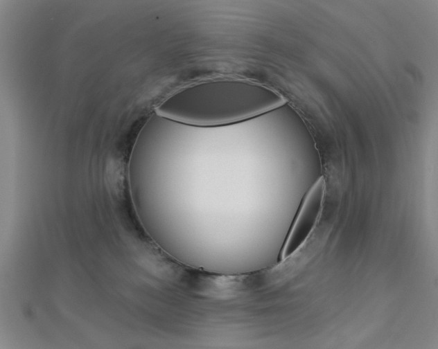 X0000112910184200908241017