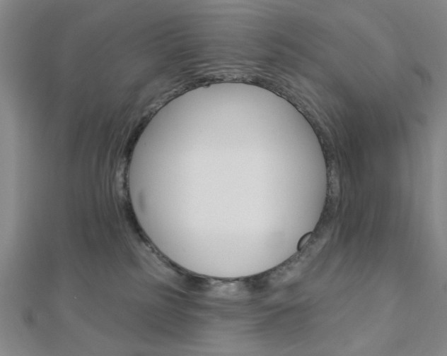 X0000112910185200908241017