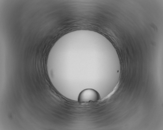 X0000112910186200908241017