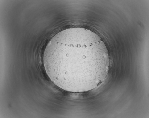 X0000112910187200908241017