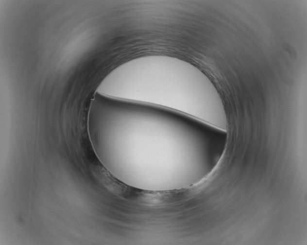 X0000112910190200908241017