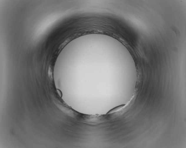 X0000112910191200908241017