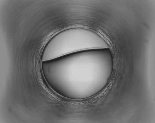 X0000112910193200908241016