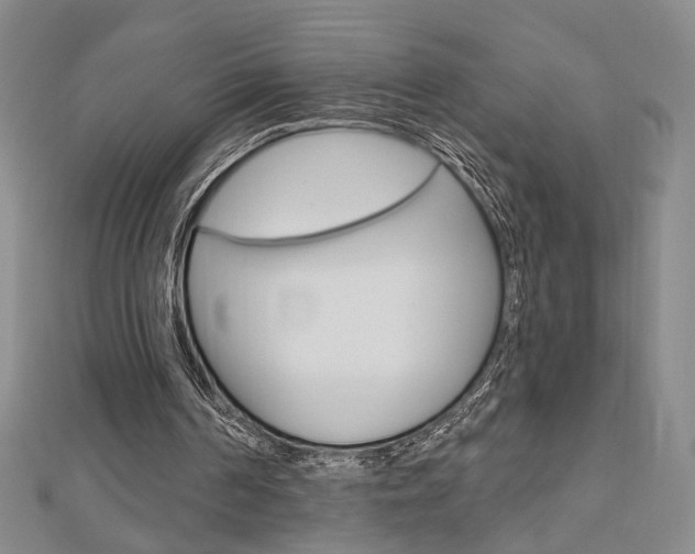 X0000112910194200908241016