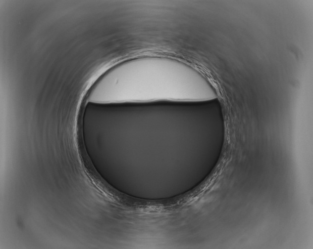 X0000112910196200908241016