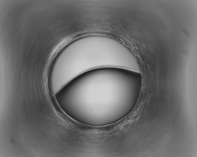 X0000112910197200908241016