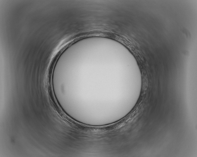 X0000112910198200908241016