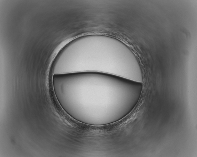 X0000112910200200908241016