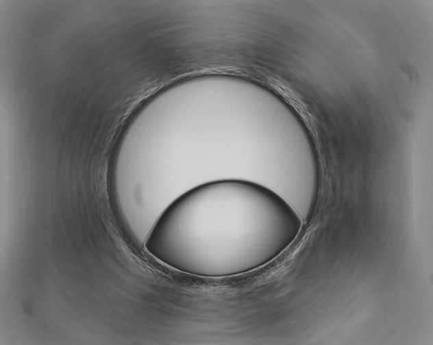X0000112910201200908241016