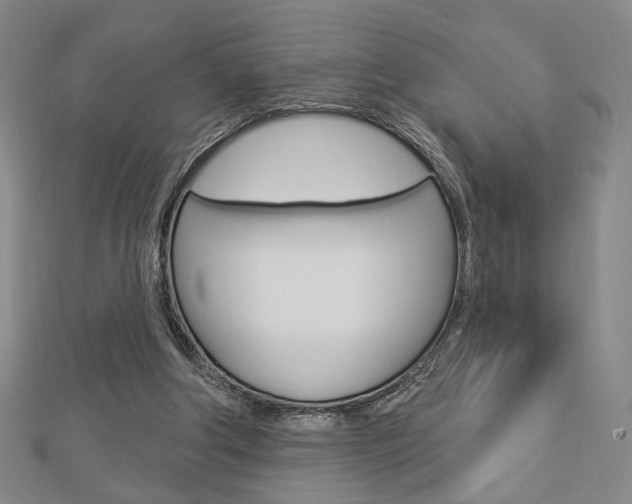 X0000112910202200908241016