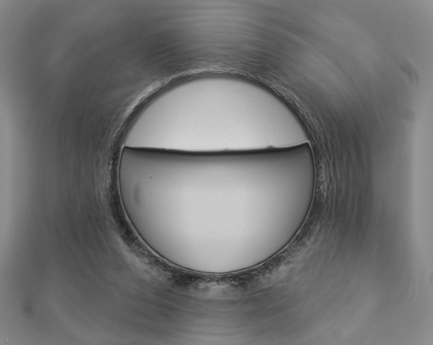 X0000112910208200908241016