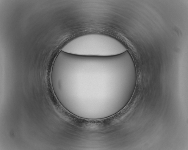 X0000112910209200908241016