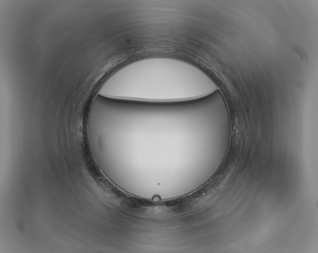 X0000112910212200908241016