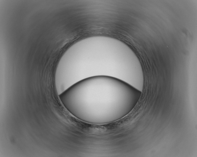 X0000112910215200908241016