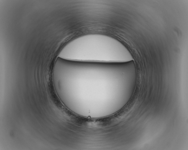 X0000112910216200908241016