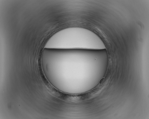 X0000112910217200908241016