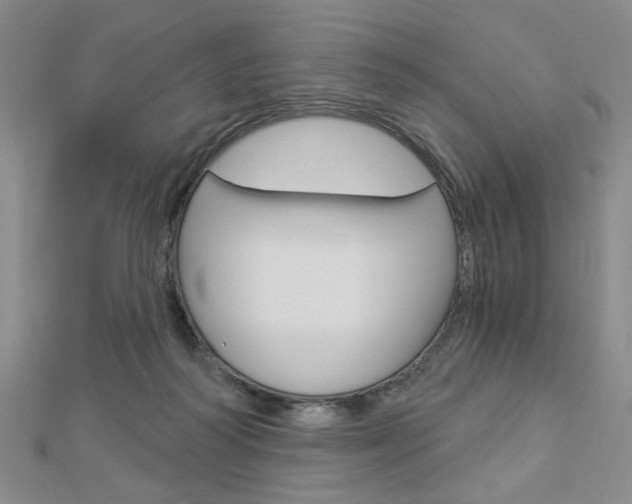 X0000112910218200908241016