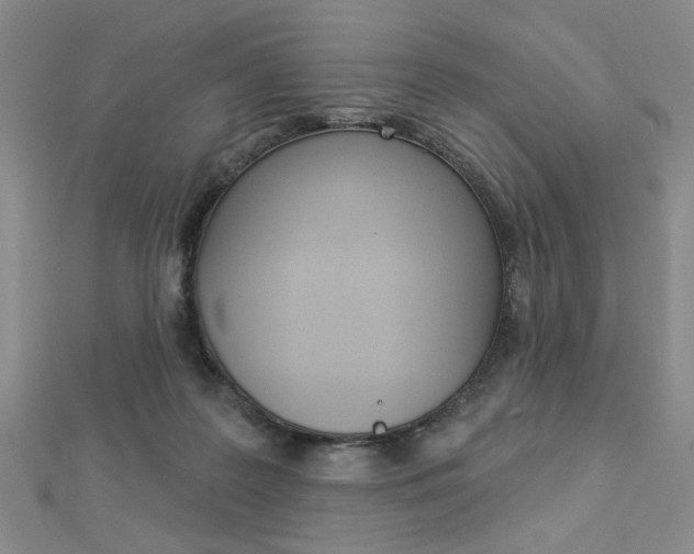 X0000112910219200908241016