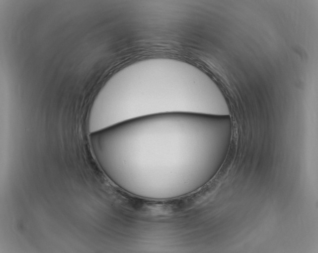 X0000112910221200908241016