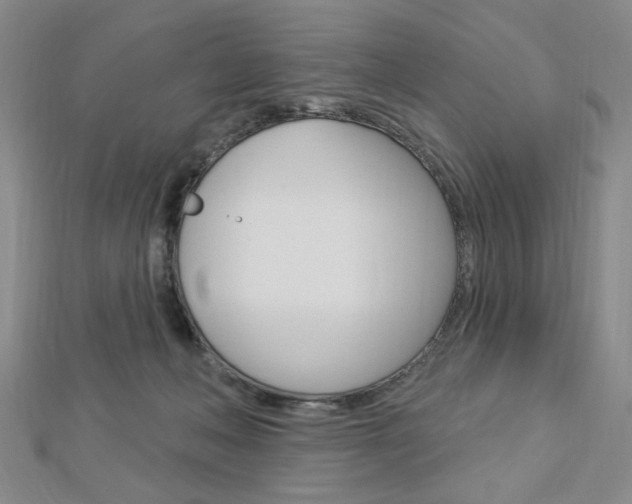 X0000112910222200908241015