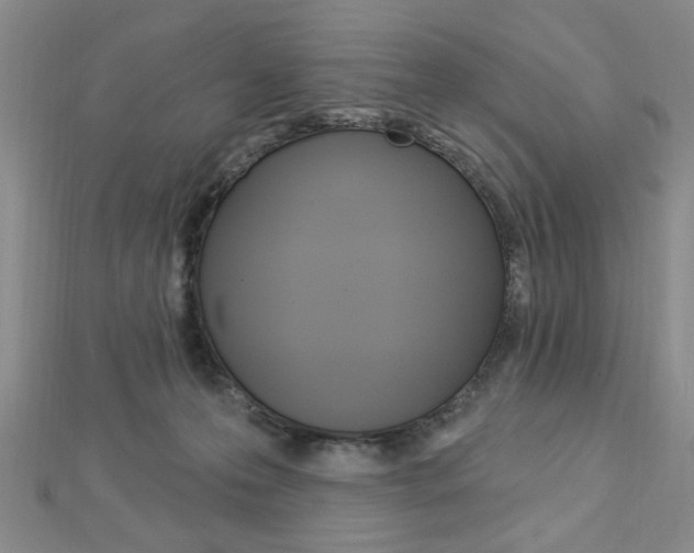 X0000112910223200908241015